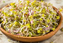 Sprouts are excellent immunity booster! Here is why