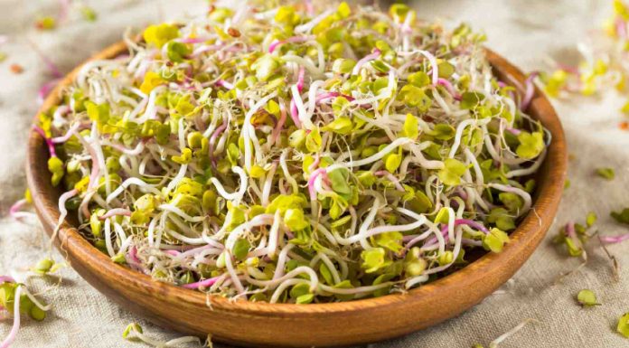 Sprouts are excellent immunity booster! Here is why