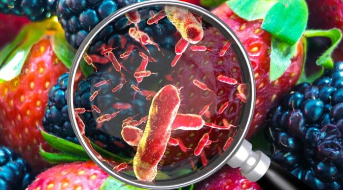 Why it is onerous to inform what gave you meals poisoning
