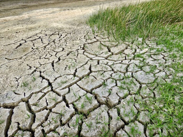 climate-change-1.jpg