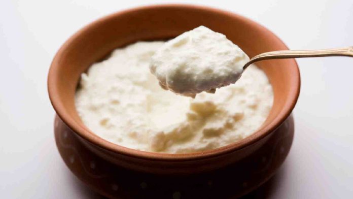 curd-1.jpg