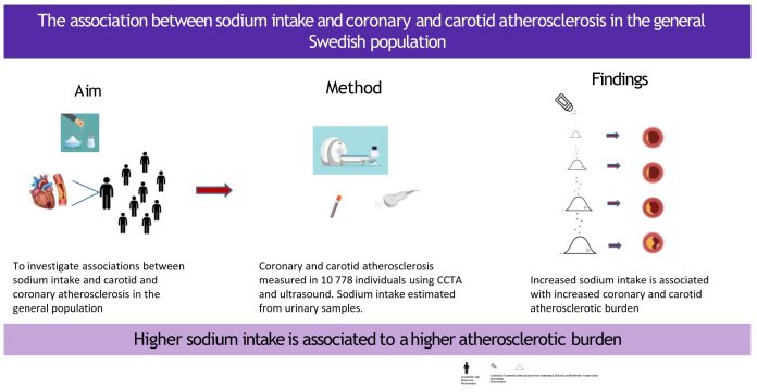 high-salt-diet-associa.jpg