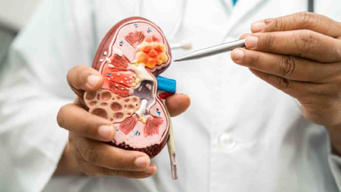 kidney-diseases.jpg