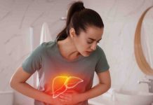 World Liver Day 2023: 5 essential blood assessments for liver well being