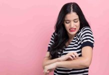 7 pure methods to forestall mosquito bites this summer time