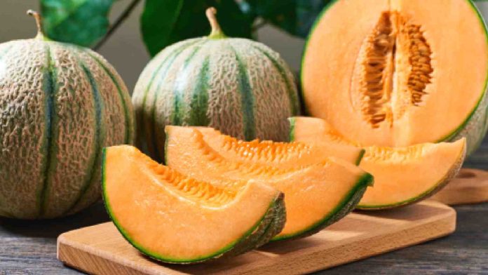 muskmelon.jpg