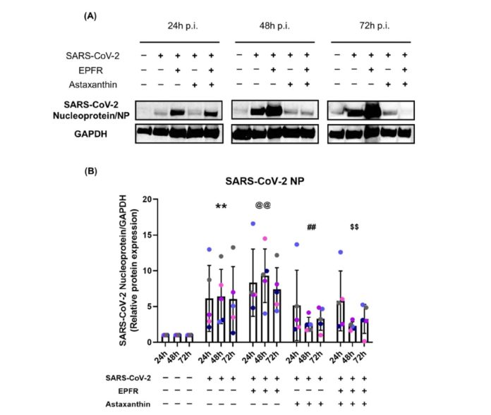 new-study-highlights-t-1.jpg
