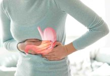 World Thyroid Day: How are thyroid and intestine well being related