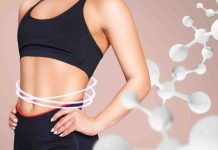 Alarming unwanted side effects of a excessive fats food plan revealed in a examine