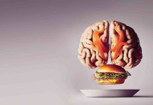 World Mind Day: Know the way weight problems impacts mind well being
