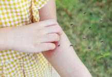Dengue: 7 residence cures to extend platelet natutally