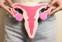 How one can steadiness estrogen ranges: 5 suggestions for a wholesome intercourse life