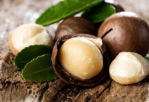 5 wholesome nuts we do not eat as usually as almonds and walnuts