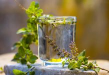 Tulsi water: 8 well being advantages of ingesting it daily