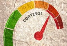 cut back cortisol stage naturally: High suggestions