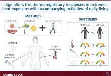 Older adults present better enhance in physique temperature in simulated warmth wave than beforehand reported