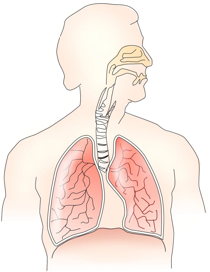 respiratory-health.jpg