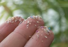 New database charts 60 years of research on impression of plastic chemical substances on human well being