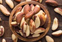 Brazil nuts: 9 well being advantages you need to know