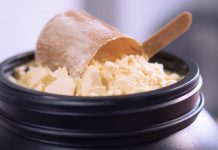 5 finest casein protein powders in India