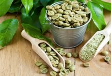 5 greatest inexperienced espresso manufacturers to spice up weight reduction