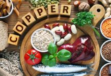 5 finest meals wealthy in copper and their well being advantages