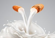 5 finest almond milk manufacturers in India