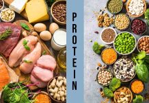 Animal protein vs plant protein: Which is best?