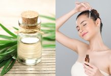 Finest tea tree oils for pores and skin: 6 prime picks for radiant glow