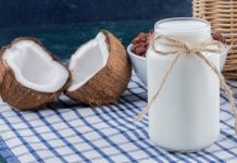 5 greatest coconut milk manufacturers in India