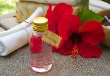 5 finest hibiscus shampoo for hair development