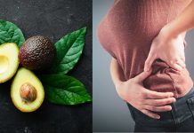 Are you able to devour avocado for kidneys?