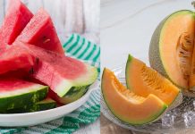 Watermelon vs muskmelon: Which fruit hydrates you higher?