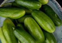 7 kundru or ivy gourd advantages
