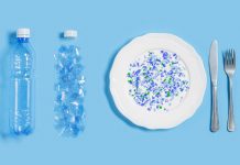 World Atmosphere Day: How microplastics have an effect on intestine well being