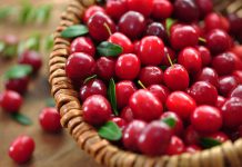 9 well being advantages of cranberries and easy methods to eat it