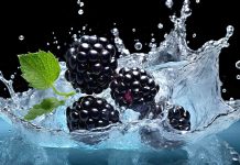 8 well being advantages of blackberries