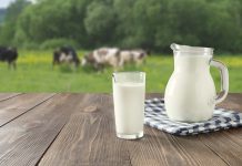 FSSAI withdraws ban on A1 and A2 milk adverts: What are these milk varieties?