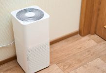 Finest Levoit air purifiers: 6 high selections for more healthy air at dwelling
