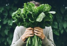 Spinach for weight reduction: 5 tasty methods to shed further kilos