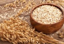 Oats for weight reduction: True Components vs Yogabar comparability