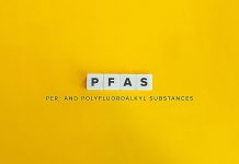 PFAS ‘endlessly chemical substances’ are worthy of public concern, skilled says