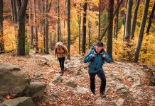 Tried uphill strolling for weight reduction? This is the way it will help you