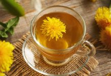 Dandelion tea for weight reduction: Profit and recipe