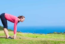 Elephant stroll train: Advantages and easy methods to do