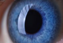 Bausch + Lomb points recall of enVista lenses utilized in cataract surgical procedure