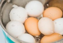 How lengthy to boil eggs: Suggestions for a wholesome, protein-packed meal