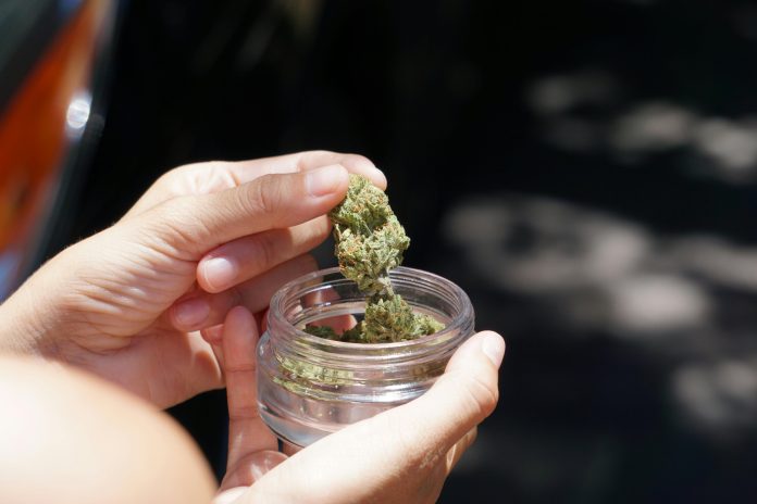 cannabis-use-1.jpg