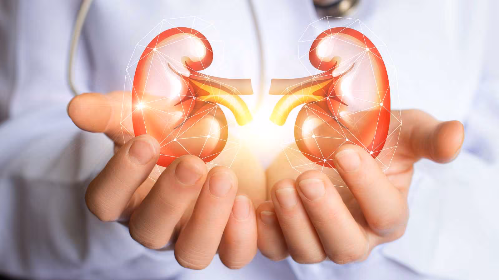 Important meals for kidney well being: What to eat and keep away from