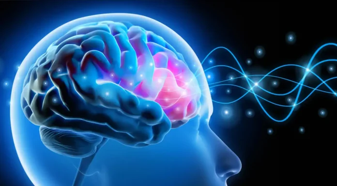 World Mind Day 2026: Prioritising mind well being for psychological well-being